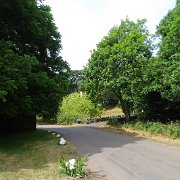 DSC08101