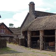 DSC08110
