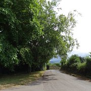 DSC08114