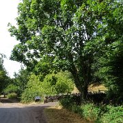 DSC08117