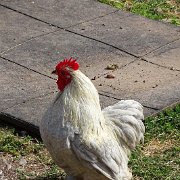 DSC08150
