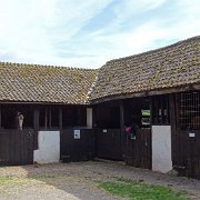 DSC08151