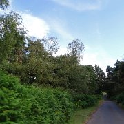 DSC08184