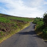 DSC08192