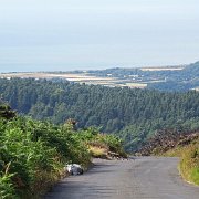 DSC08193