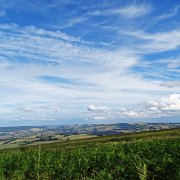 DSC08196