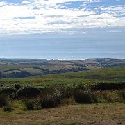 DSC08220
