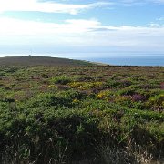 DSC08230
