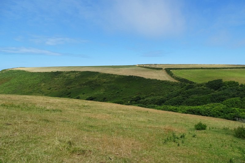 DSC08310