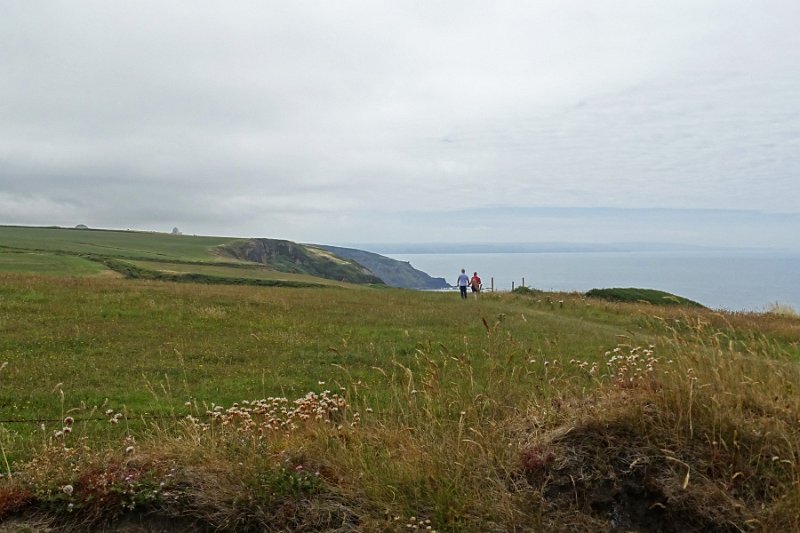DSC08331