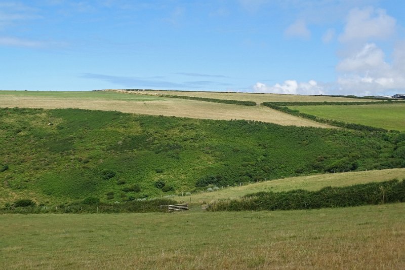 DSC08349