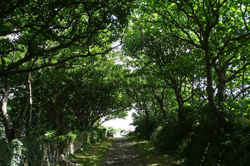 DSC08352