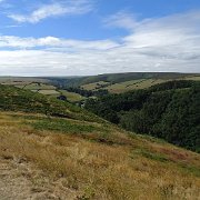 DSC08291