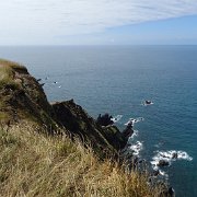 DSC08322