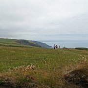DSC08331
