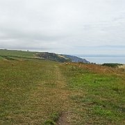 DSC08338