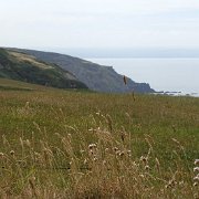 DSC08340