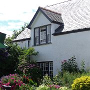 DSC08353
