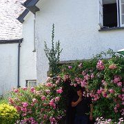 DSC08354