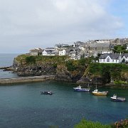 DSC08429