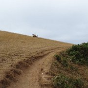 DSC08433