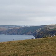 DSC08446