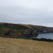 DSC08447