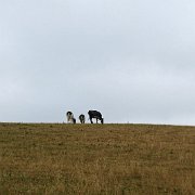 DSC08461