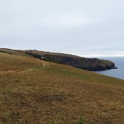 DSC08475