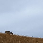 DSC08501