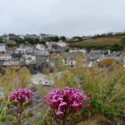 DSC08511