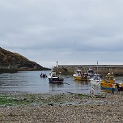 DSC08518