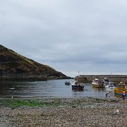 DSC08519