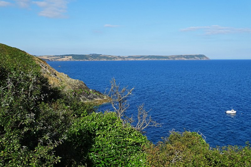 DSC08659