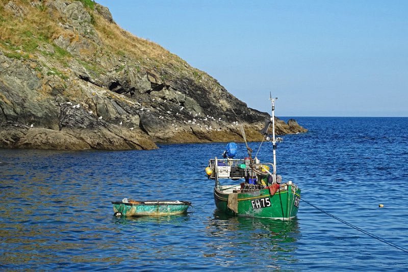 DSC08687