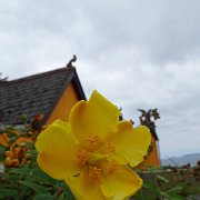 DSC08583