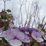 DSC08584