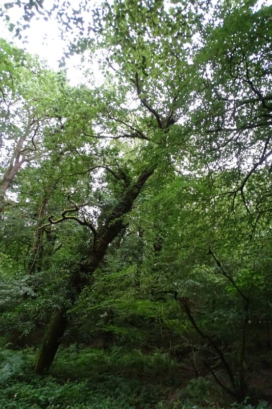 DSC08701