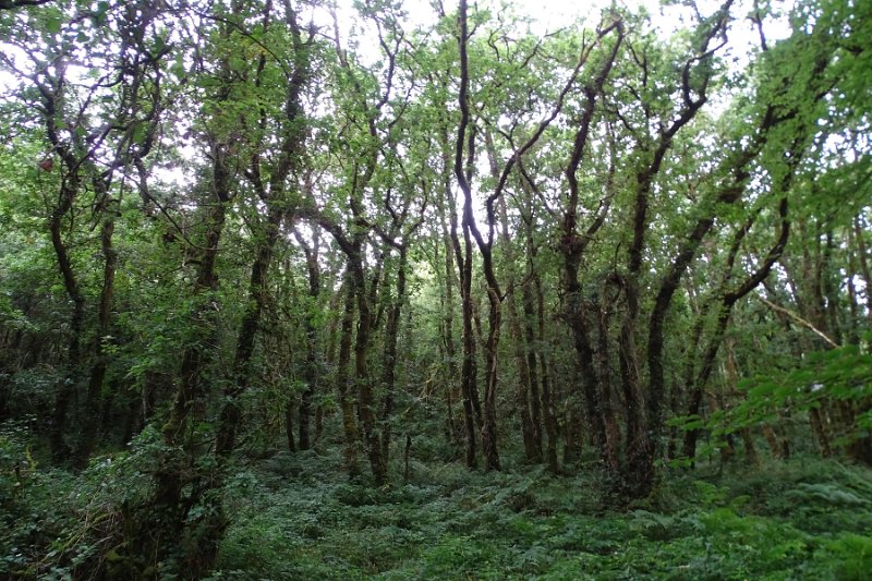 DSC08705