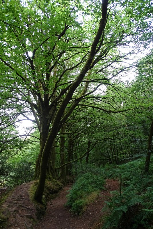 DSC08708