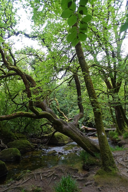 DSC08711