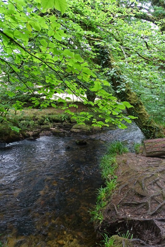 DSC08722