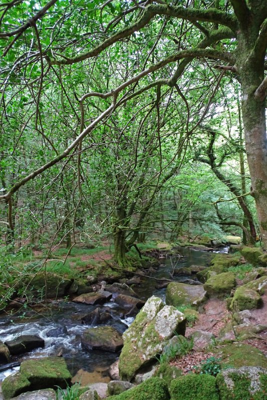 DSC08769