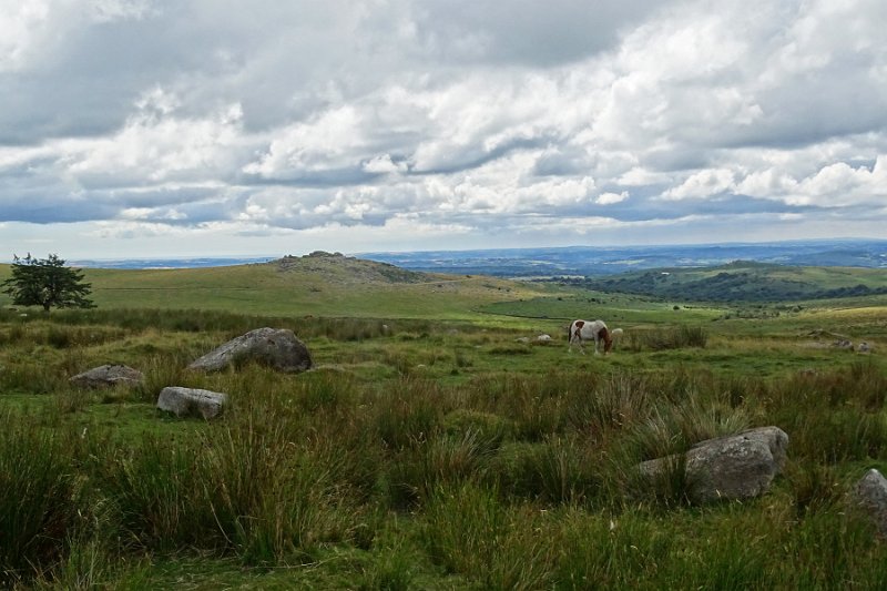 DSC08842
