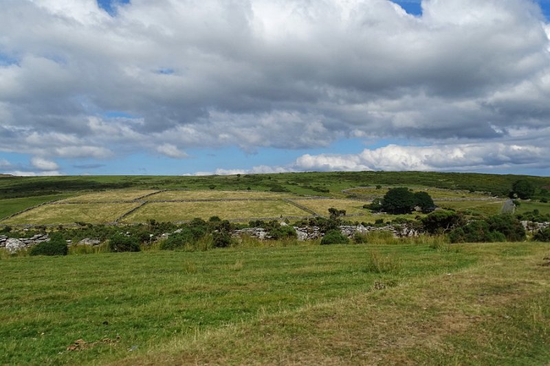 DSC08845