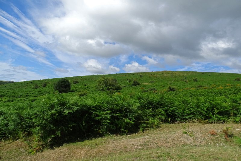DSC08846