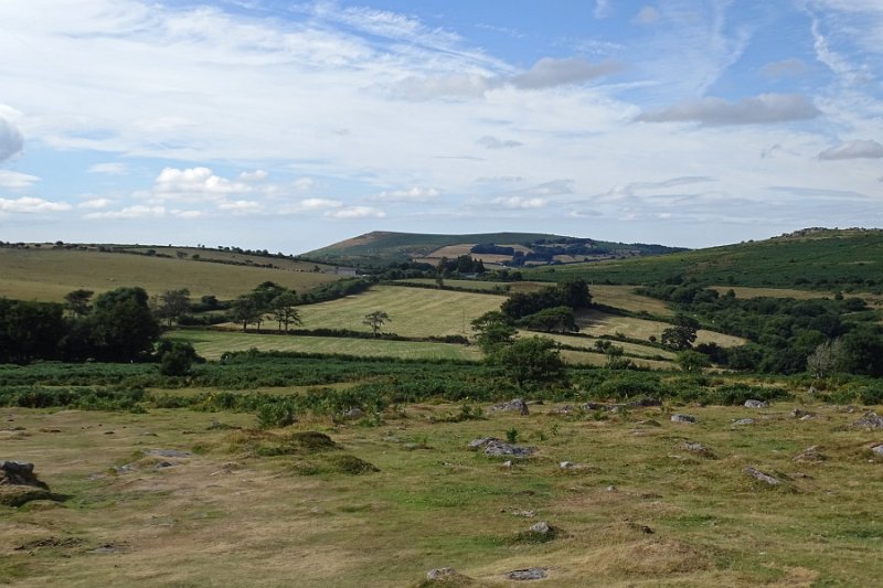 DSC08861