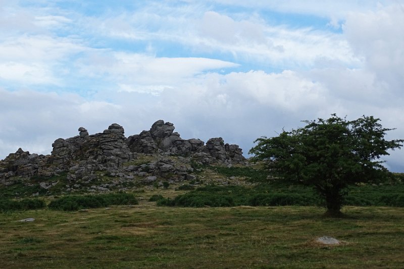 DSC08902