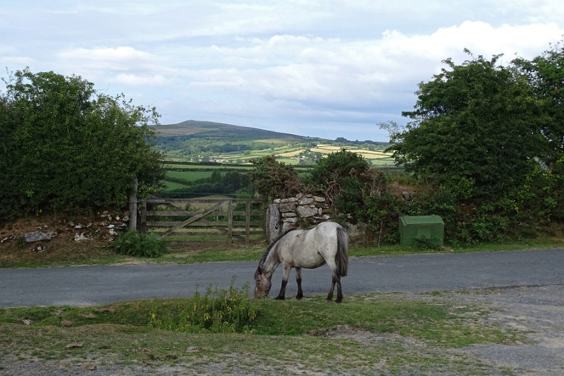 DSC08907