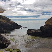 24.7. Portloe - Golitha Falls Nature Reserve - Dartmoor